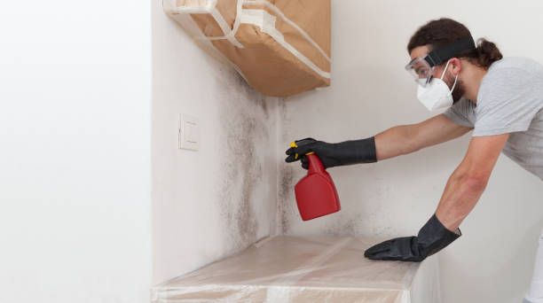 Professional Basement Mold Removal technician working in Woodcliff Lake, NJ