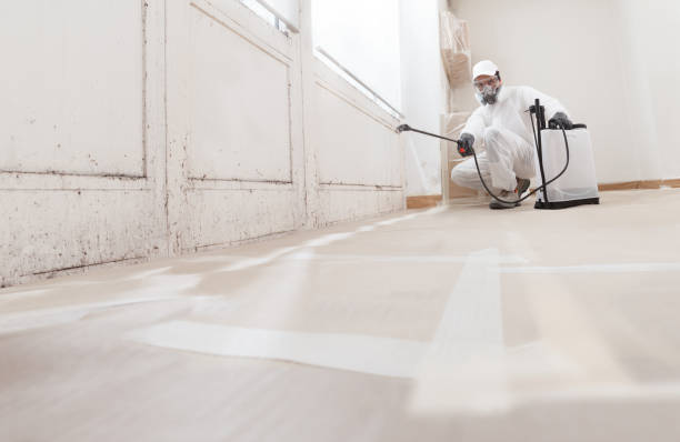 24/7 Emergency Basement Mold Removal experts in Woodcliff Lake, NJ