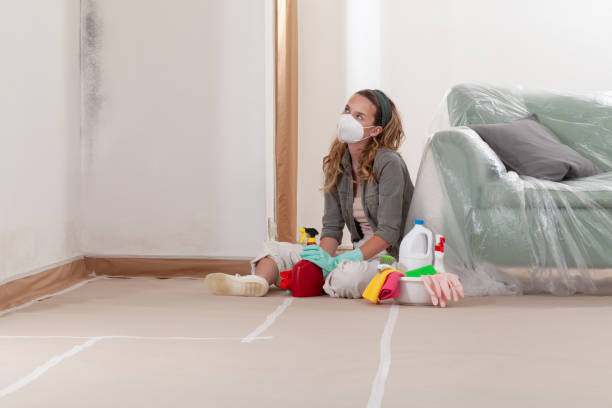 Reliable Basement Mold Removal contractor in Woodcliff Lake, NJ by Cheap Mold Removal