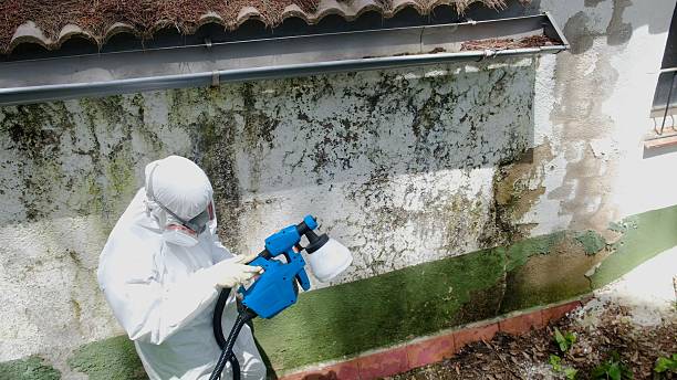 Top rated local Basement Mold Removal specialists in Woodcliff Lake, NJ